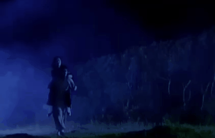 李小龙的演艺生涯高峰与低谷_李小龙的演艺生涯_巅峰李小龙