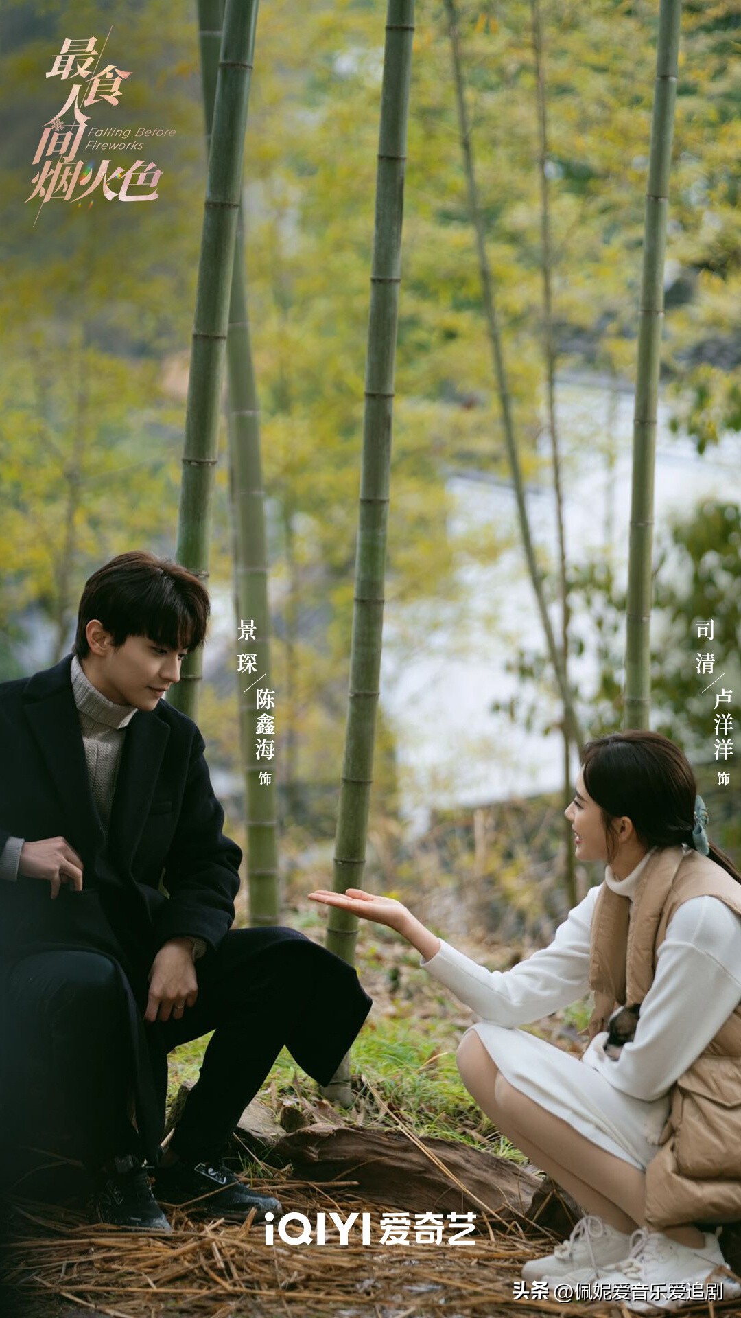 完美剧情介绍_剧情与演员的完美结合：2023年十大影片_完美结局电影