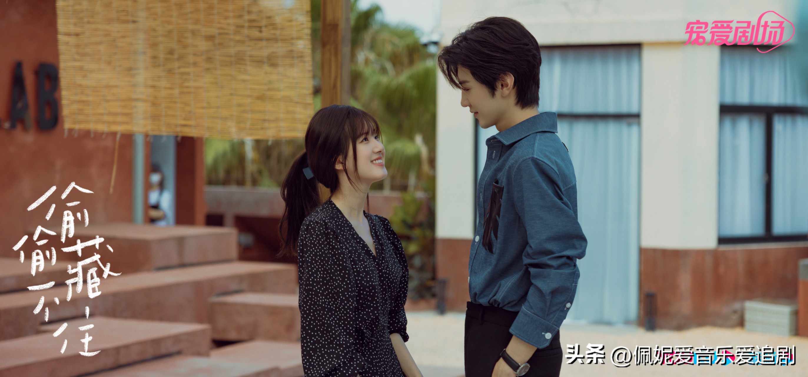 完美剧情介绍_剧情与演员的完美结合：2023年十大影片_完美结局电影