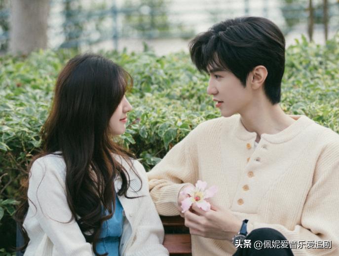 完美剧情介绍_完美结局电影_剧情与演员的完美结合：2023年十大影片