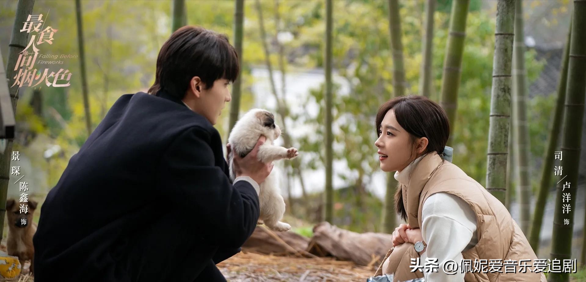 完美剧情介绍_完美结局电影_剧情与演员的完美结合：2023年十大影片