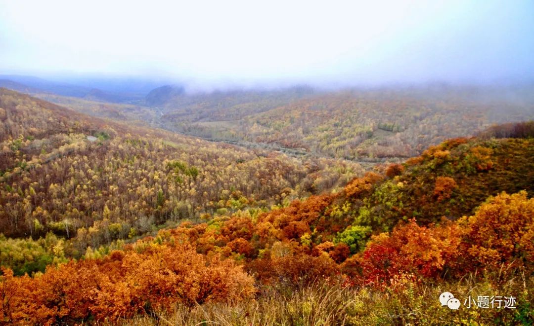 康熙的多民族政策与治理_康熙处理民族政策_康熙治理民族政策是什么