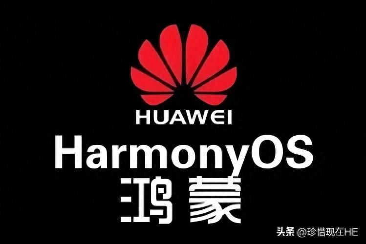 荣耀的健康使用手机是干什么的_使用荣耀进行健康管理的最佳应用推荐_荣耀健康app