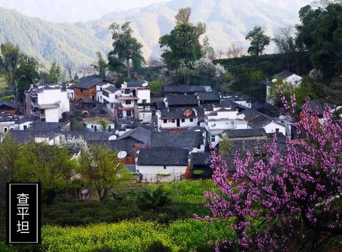 自驾游汽车首选_自驾游选什么车好_自驾游攻略：如何选择适合的汽车？