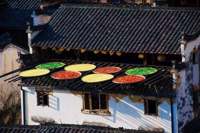 自驾游攻略：如何选择适合的汽车？_自驾游选什么车好_自驾游汽车首选