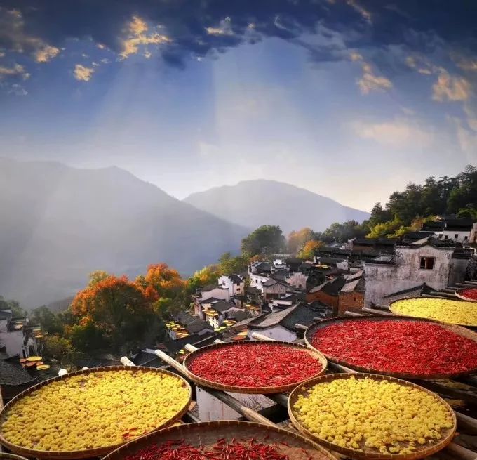 自驾游选什么车好_自驾游汽车首选_自驾游攻略：如何选择适合的汽车？