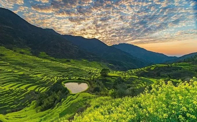 自驾游攻略：如何选择适合的汽车？_自驾游汽车首选_自驾游选什么车好