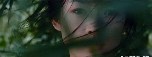 武侠角色林青霞经典形象图片_武侠角色林青霞经典形象视频_林青霞的武侠角色与经典形象