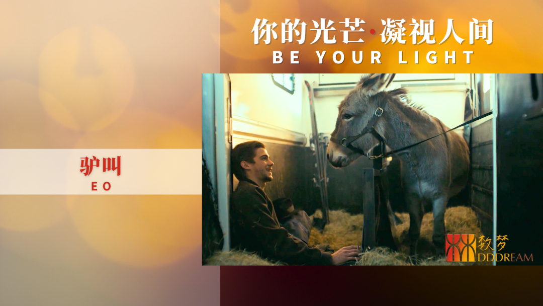 2033年电影_2023年电影回顾：十大精彩影片推荐_2023年电影上映时间表