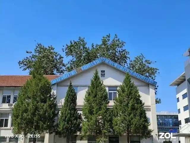 vivo什么镜头_vivo镜头模糊怎么办_评测ViVo的拍照效果：从镜头到成像