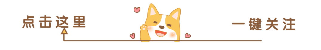 海鸥比亚迪_比亚迪海鸥：环保与科技的完美结合_比亚迪海鸥什么时候上市