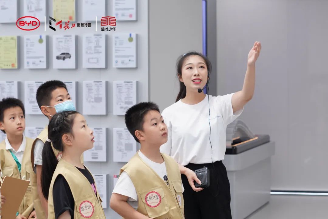 比亚迪海鸥：环保与科技的完美结合_海鸥比亚迪_海鸥环保科技公司