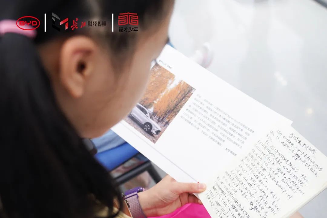 海鸥环保科技公司_海鸥比亚迪_比亚迪海鸥：环保与科技的完美结合