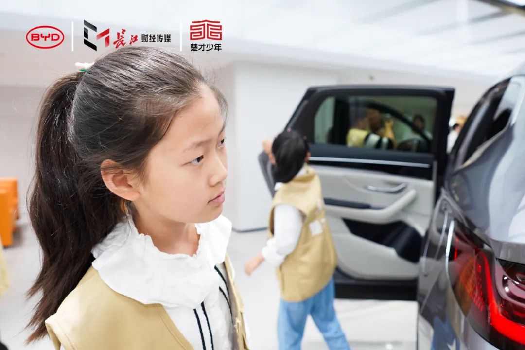 海鸥比亚迪_比亚迪海鸥：环保与科技的完美结合_海鸥环保科技公司