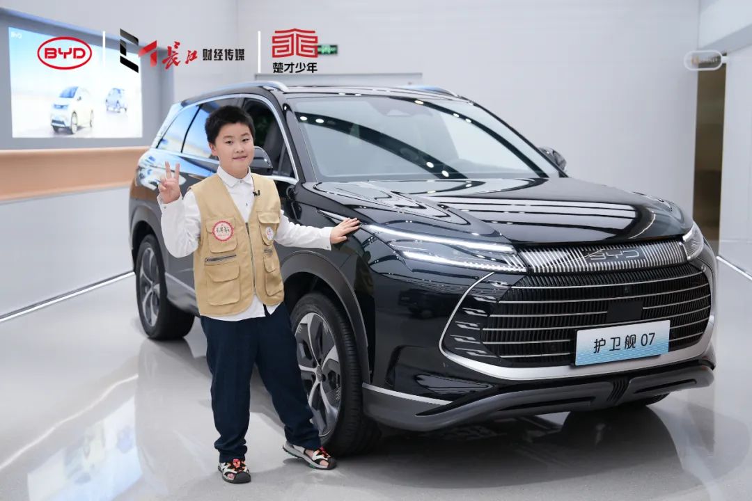 比亚迪海鸥：环保与科技的完美结合_海鸥比亚迪_海鸥环保科技公司