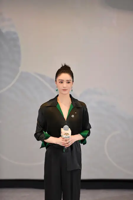 杨幂反派造型_杨幂的经典反派角色与挑战_杨幂角色反派经典挑战是什么