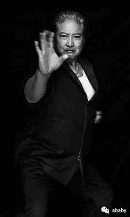 陕西皮影艺术贡献_洪金宝的艺术贡献与文化传承_乔布斯对皮克斯的具体艺术贡献