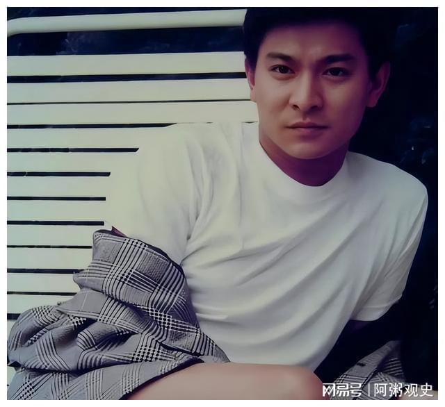 刘德华的艺术人生_刘德华的艺术追求与创新_刘德华艺术追求创新的作品