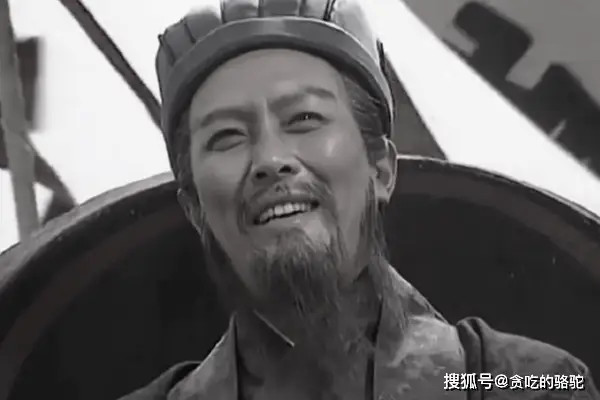 诸葛亮家族成员列表_诸葛亮的家族背景与成长经历_诸葛亮家族关系表