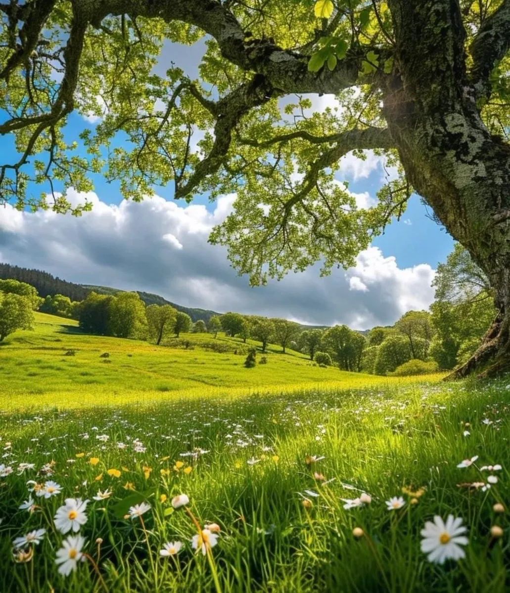 太阳能电动伞创新_电瓶车的隐忧_从技术创新看电动车的潜在隐忧