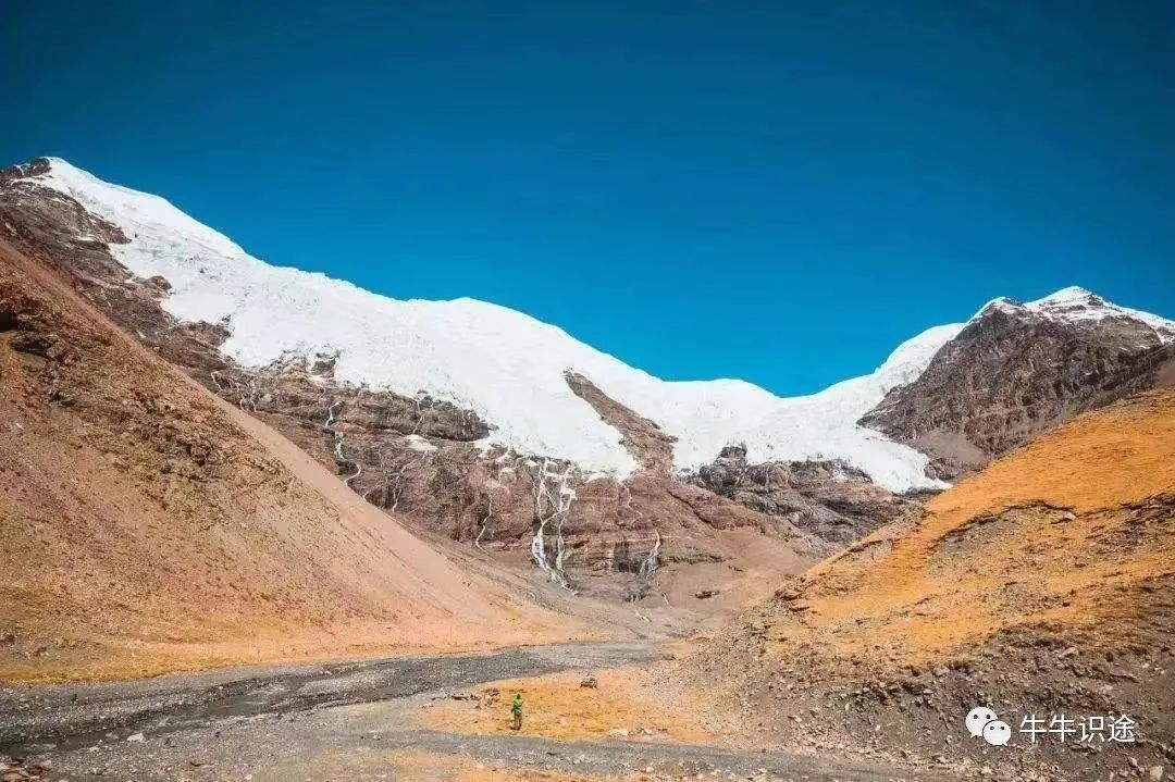 赵长鹏预测比特币第四次减半后市场前景，2024年牛市即将到来