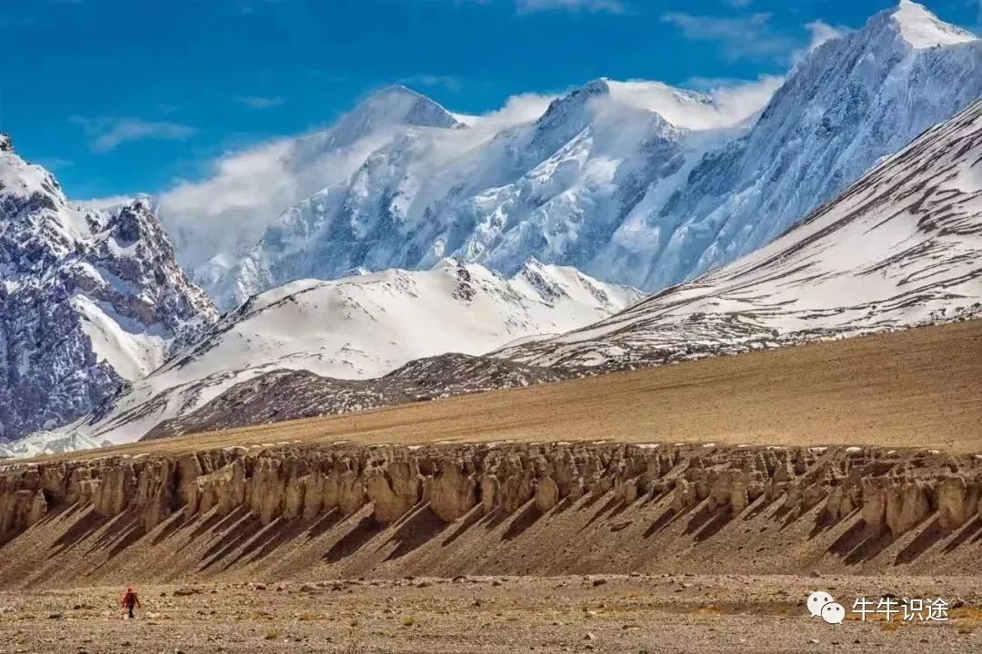 加密货币市场价格由什么决定_加密货币对金融市场的影响_分析市场对加密货币未来的看法：投资者信心与市场反应