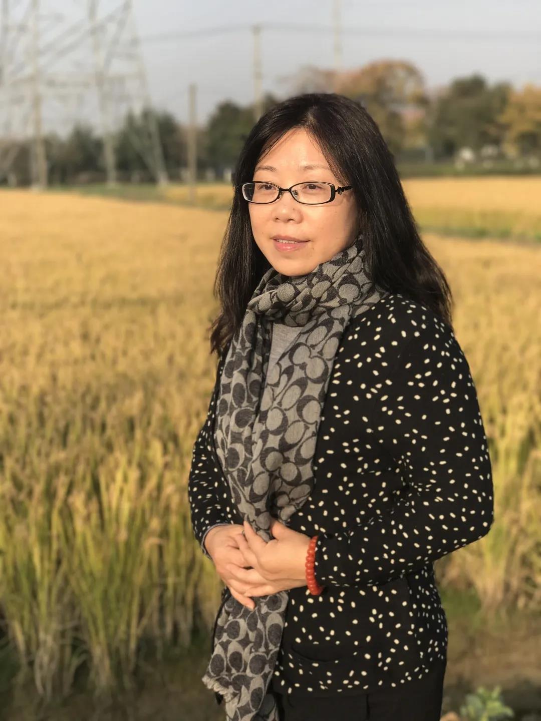 四大电影中的性别与权力议题_性别权利的载体_性别与权力中译版