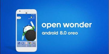 隐私安全性最好的手机_最新手机系统的安全特性与用户隐私_手机隐私政策是什么意思