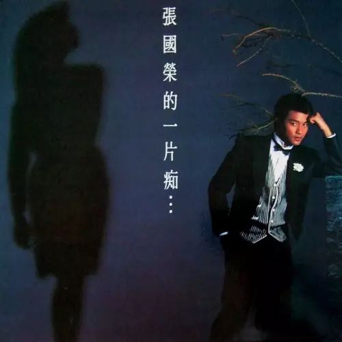 张国荣的粉丝是什么年代_张国荣的粉丝文化与影响力_被张国荣的粉丝震惊了