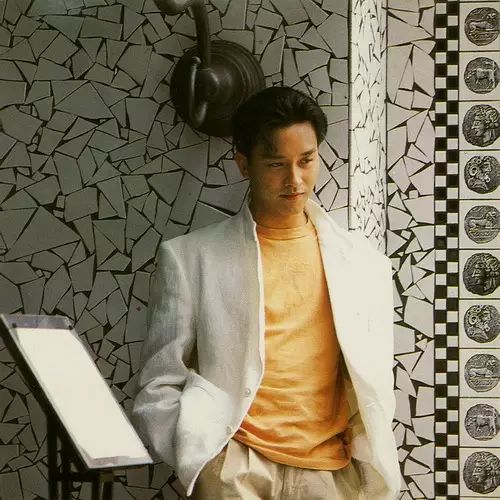 张国荣的粉丝文化与影响力_被张国荣的粉丝震惊了_张国荣的粉丝是什么年代