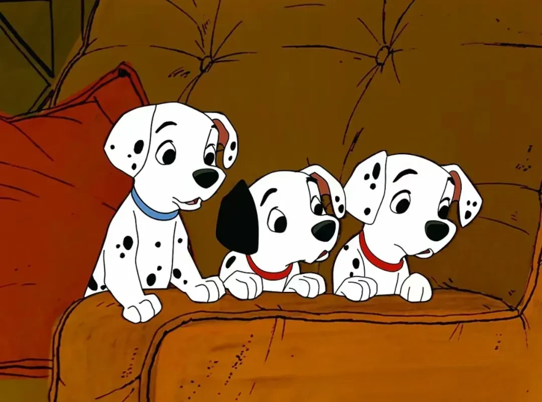 成龙的国际粉丝有哪些_成龙的粉丝文化与全球影响_成龙大牌粉丝