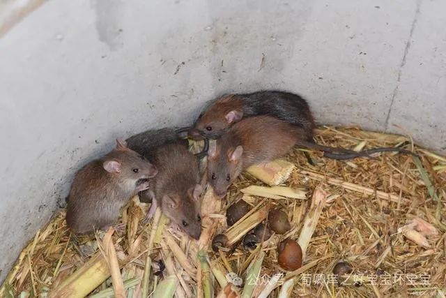 改革秦国李斯经济的措施_李斯与秦国的经济改革_秦国时代李斯